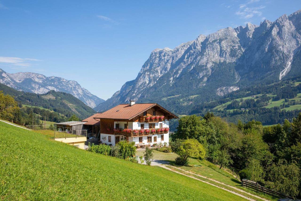 Unterschwabegghof Apartment Werfen Exterior photo