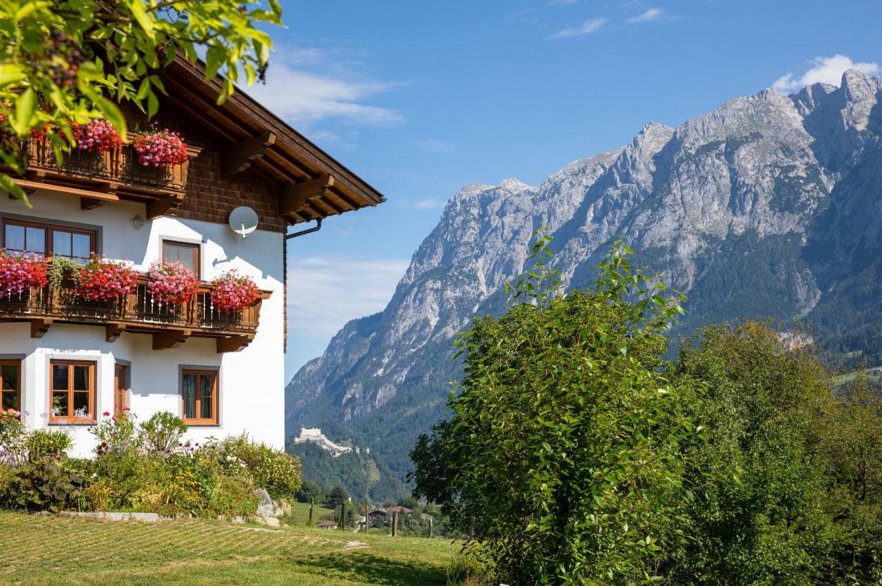 Unterschwabegghof Apartment Werfen Exterior photo